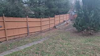 Honey Bear runs fence