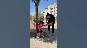 يحيى الزعبي 