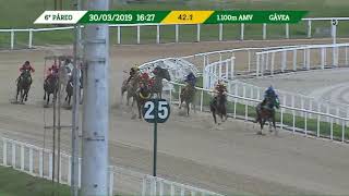 Vidéo de la course PMU PREMIO ZAIBO 1981