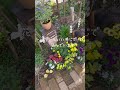 【ガーデニングチャンネル】４月のガーデン１分散歩。 #gardening #ガーデニング #flowers #garden