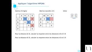 Phylogénie - WPGMA (pas UPGMA)