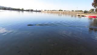 HDV Seaducer Rc Boat