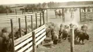 Lost Tracks: Trailer
