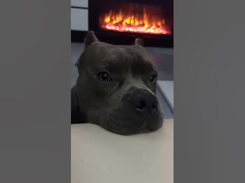 Самые добрые и красивые глаза - YouTube
