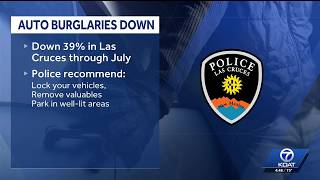 Las Cruces reporting few car burglaries