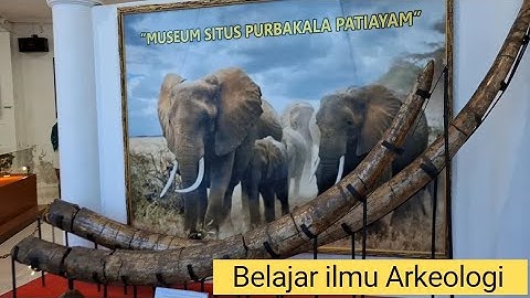 パティアヤム古代遺跡博物館 | 教育観光と考古学 | 2025
