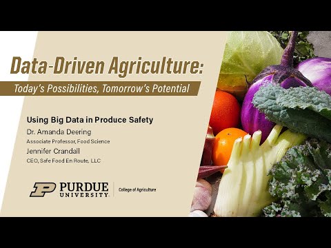 Using Big Data