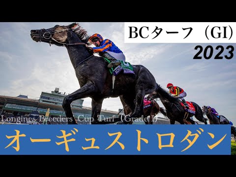 ディープ産駒の競演！オーギュストロダンがG1・5勝目、シャフリヤールは3着【BCターフ2023】/ Auguste Rodin【Longines Breeders' Cup Turf 2023】