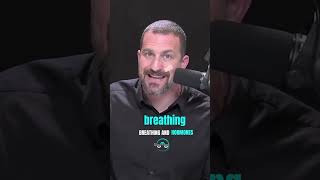 BREATHING PATTERS CAN OPTIMIZE ESTROGEN AND TESTOSTERONE  | #hubermanclips