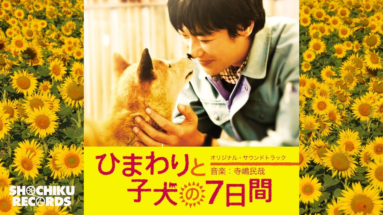 ひまわりと子犬の7日間(Blu-ray) Amazon.co.jp: ひまわりと子犬の7日間(Blu-ray) : 堺雅人, 中谷