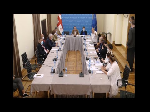 კულტურის კომიტეტის სხდომაზე გრიგოლ ვაშაძე და ნატა ფერაძე ერთმანეთს დაუპირისპირდნენ