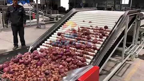 Sorting machine for onion potato garlic, red onion grading line,onion processing equipment