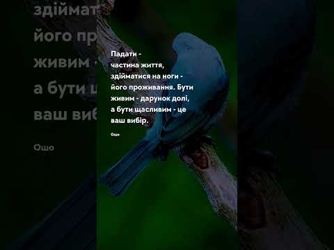 Ваш вибір Про життя цитати цитати цитата прожиття життя мудрість приказки тост притчі 