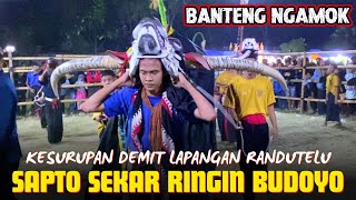 Banteng Ngamok‼️SAPTO SEKAR RINGIN BUDOYO Terbaru Edisi Obrak Abrik Lapangan Randutelu Singosari