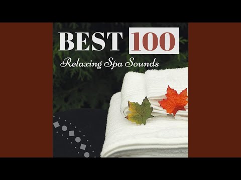 Popular Videos - Relaxing Mindfulness Meditation Relaxation Maestro
