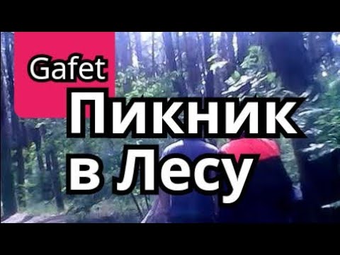 маленький пикник в лесу шашлык водочка - YouTube