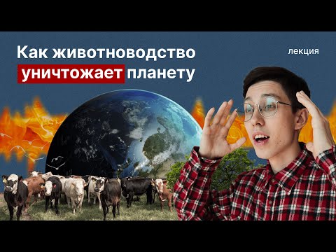 Почему защитники природы