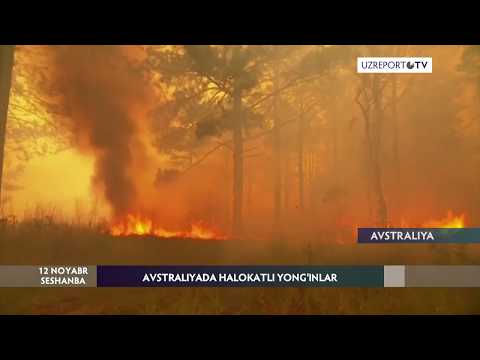 Video: Avstraliya Cho'lida Topilgan Sirli Spiral Rasmlar