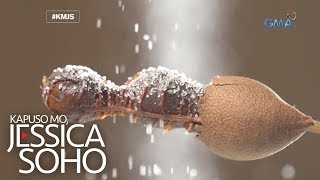Kapuso Mo, Jessica Soho Oks Na Oks Sa Sampalok
