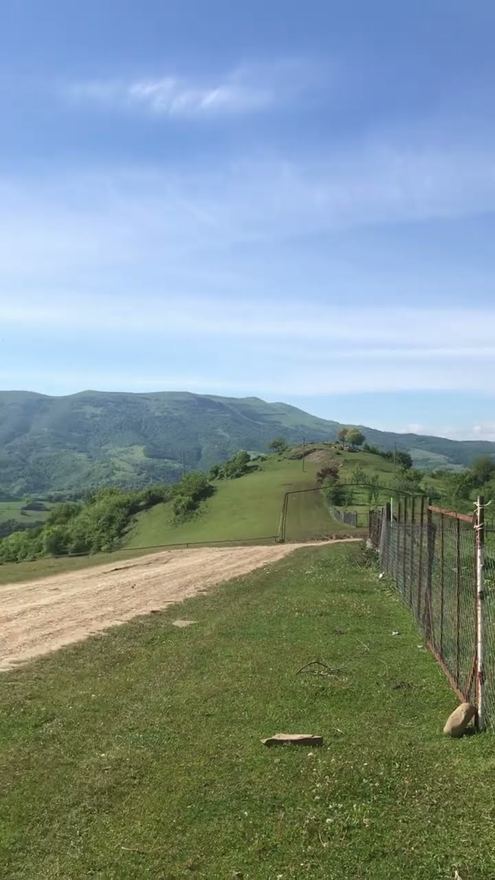 Дикая природы Швейцарии: Необычайно красивое видео рес. Дагестан ...