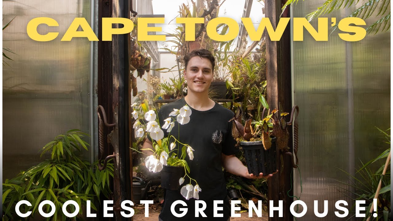Odin's Huge Greenouse Tour - Giant Carnivorous Plants, Orchids, And More!