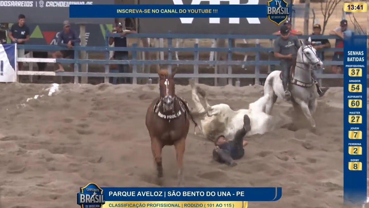 2° DIA CLASSIFICAÇÃO PROFISSIONAL VAQUEJADA PARQUE AVELOZ CAMPEONATO BRASILEIRO DE VAQUEJADA 2026