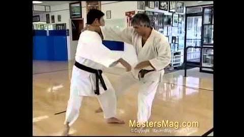 Classic Kumite by Boban Petkovic 8th dan | Best Budo Lessons