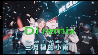 三月裡的小雨DJ