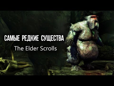 Видео: САМЫЕ РЕДКИЕ СУЩЕСТВА The Elder Scrolls которых не было в Skyrim