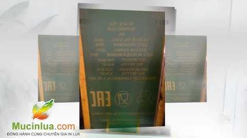 Chế bản in lụa in Tampon 0976 249 627 Ms Loan