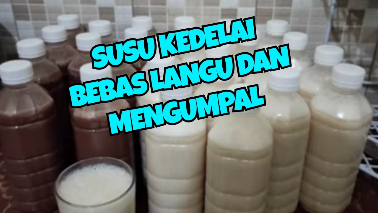 CARA MEMBUAT SUSU KEDELAI tidak langu dan menggumpal untuk dijual lari