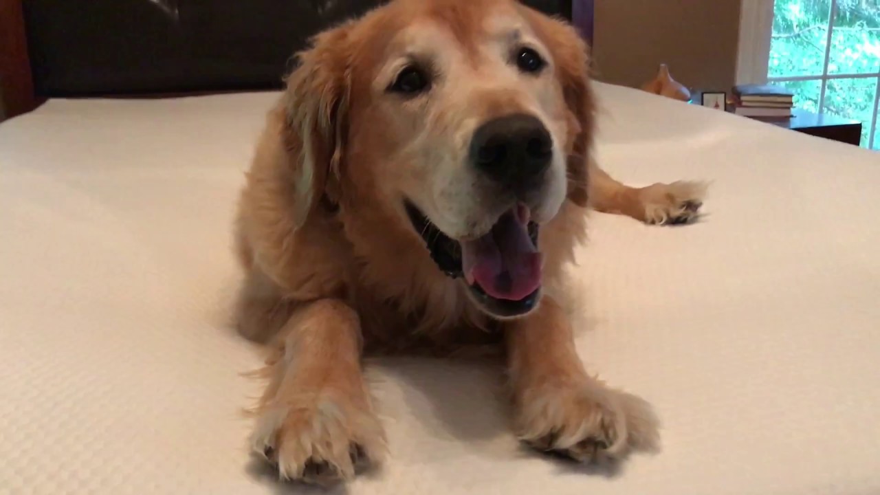 Lull Mattress Unboxing Shawn Booth's Sleep Partner YouTube