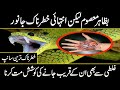 innocent animals you should avoid to touch  and be farr away | Urdu Cover