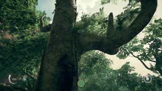 Travel From [The Sister Arches] Towards [The Cliff Cascade] Ancestors The Humankind Odyssey