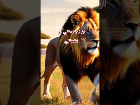 أنا طيب مع الجميع أحترم من يحترمني كلمات عبارات الاحترام