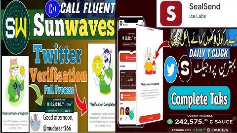 Sealsend Callfluent Sunwaves & Sauces Twitter Kyc Verification| Ice 4th project full details