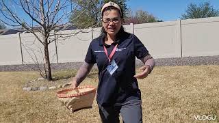 HOW TO PLANT IN THE ROCKS? @RaffyTulfoInAction @GigiLEWIS-n5m 