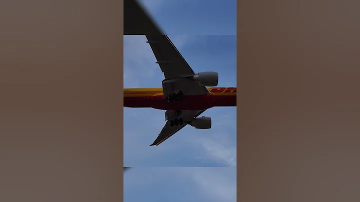 Boeing 777 BIRD STRIKE! - DayDayNews