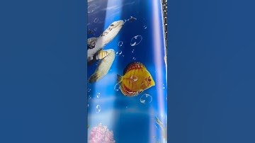 IN QUẢNG CÁO KHỔ LỚN - IN UV GIÁ RẺ TẠI BÌNH TÂN - Xưởng in uv Nam Long #printing #banner #quangcao