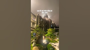 Săn mây lạc lối chốn bồng lai tiên cảnh