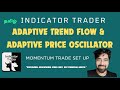 Catch Big Momentum Using Adaptive Trend Flow & Price Oscillator (TAMIL) Market-Adaptive Trade System