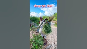 Desi life of village people🙏#life#village#rajasthani#loveyou#reels#funny#viral#vlog#