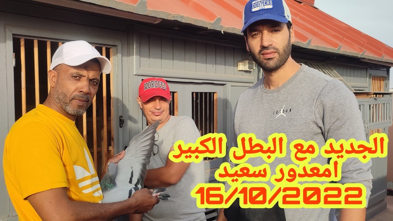 الجديد مع البطل الكبير امعدور سعيد 16/10/2022 وفرجة ممتعة
