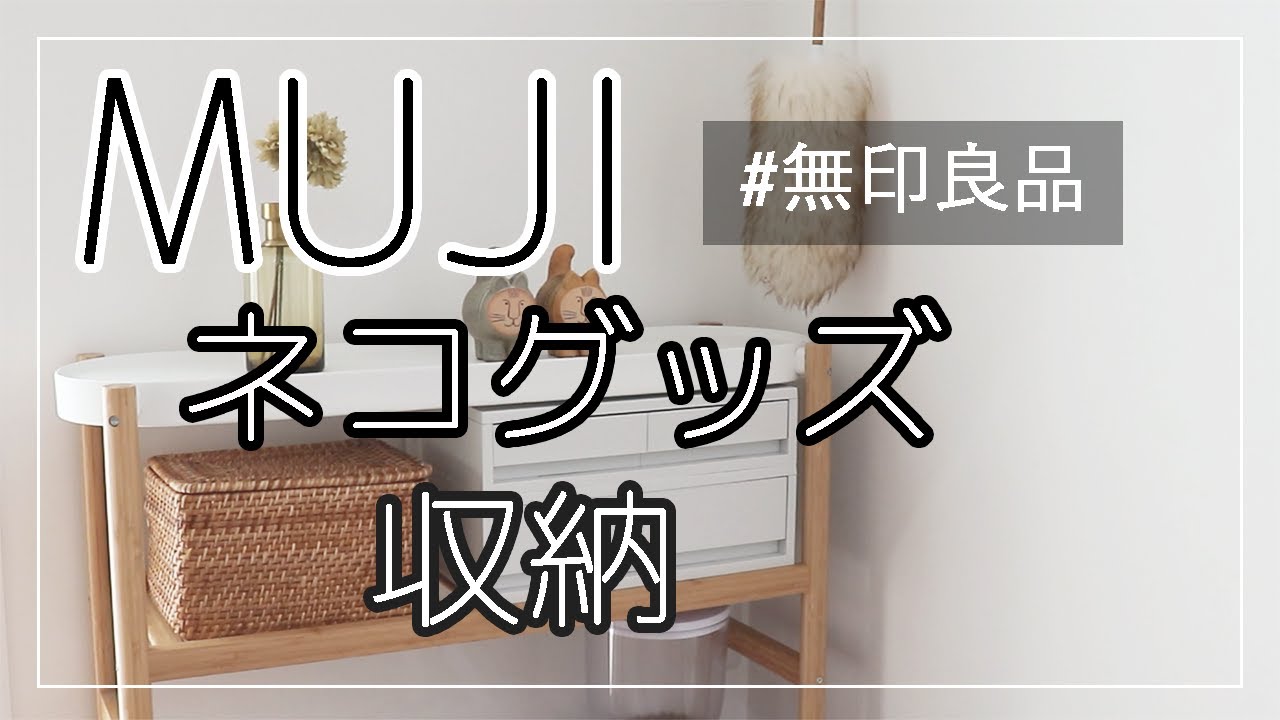 Muji 無印良品アイテムでネコグッズを収納 ちゅーるやおもちゃもスッキリ収納 Youtube