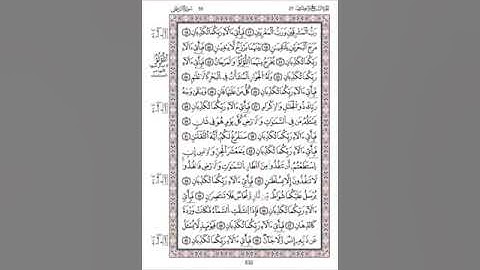 سورة الرّحمن تراويح 1445هـ/2024م