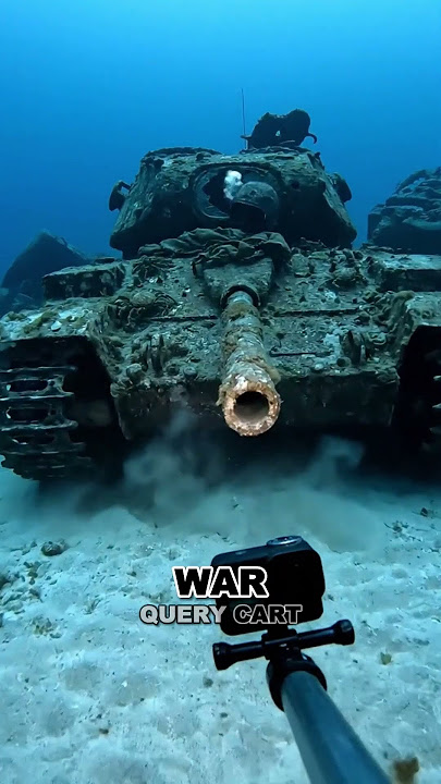 Why the US Chose to Sink Tanks in the Ocean