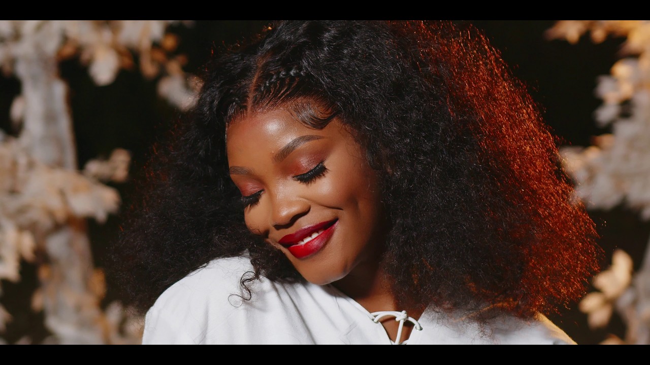 Nyasha David - Ndagonyera (Official Video)