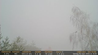 Timelapse Cam 2 - 19. mars 2023