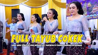 FULL TAYUB SRAGENAN - ANDE ANDE LUMUT KIJING MIRING LDR. PARIWISOTO PANGGODANING KATRESNAN