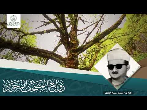 القارئ محمد حسن النادي